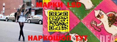 шишки Ставрополь