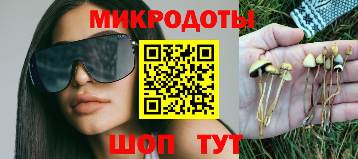 Псилоцибиновые грибы Cubensis Бийск