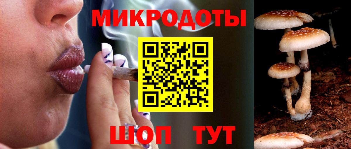 Галлюциногенные грибы Psilocybine cubensis  Вход с VPN  Бийск 